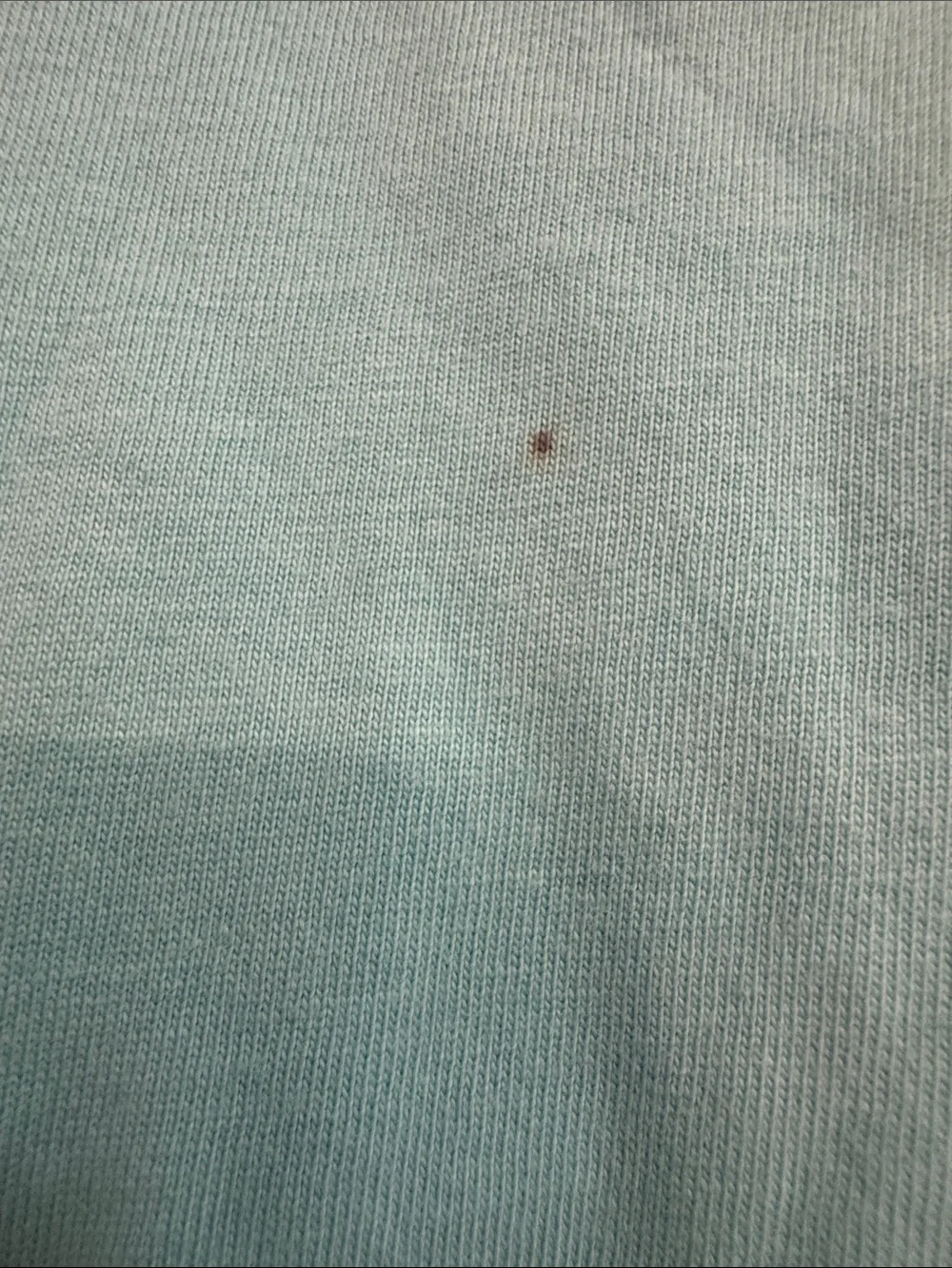 Ralph Lauren Turquoise Short Sleeve Polo Logo Tee
